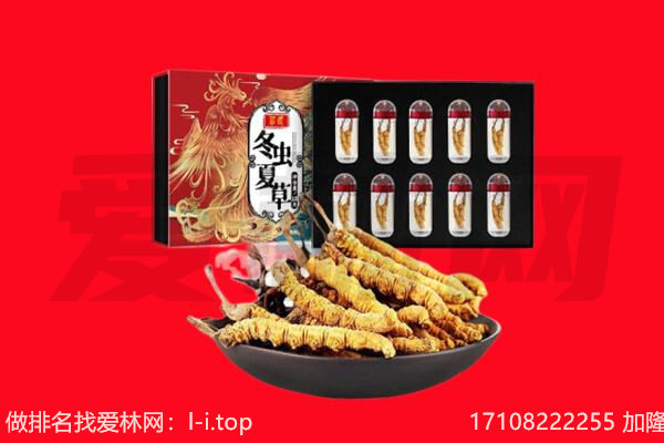温州鹿城区回收虫草.jpg
